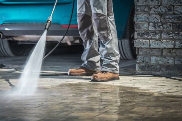 Best Sidewalk and Walkway Cleaning  in Lexington, MS