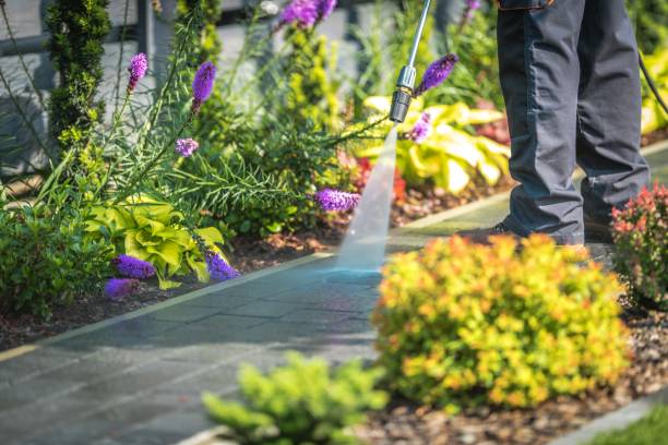 Best Parking Lot and Garage Cleaning  in Lexington, MS