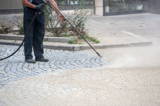 Best Pre-Holiday Cleaning  in Lexington, MS