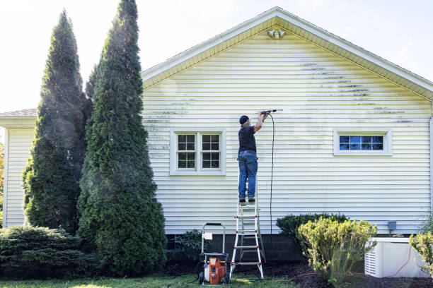 Reliable Lexington, MS  Pressure Washing Services Solutions