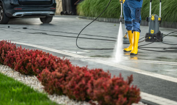 Best Playground Equipment Cleaning  in Lexington, MS