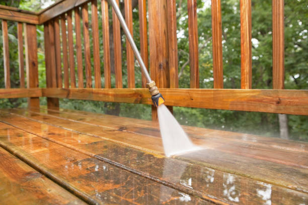 Best Driveway Pressure Washing  in Lexington, MS